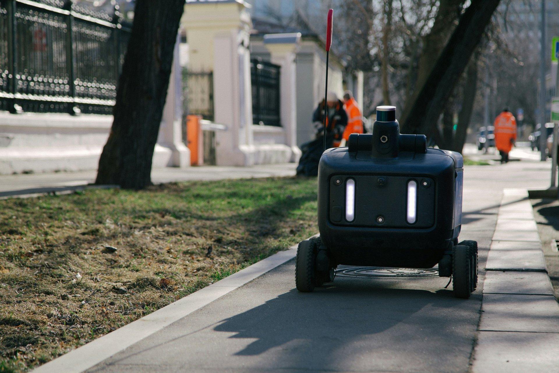 Autonomy for the Terrestrial Domain
